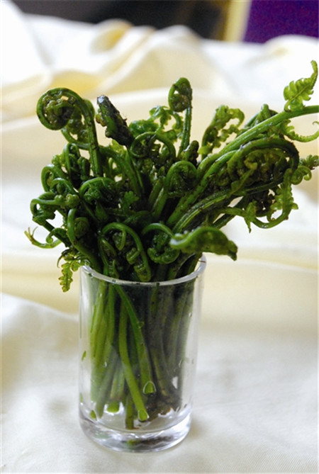 蕨菜品种图片图片