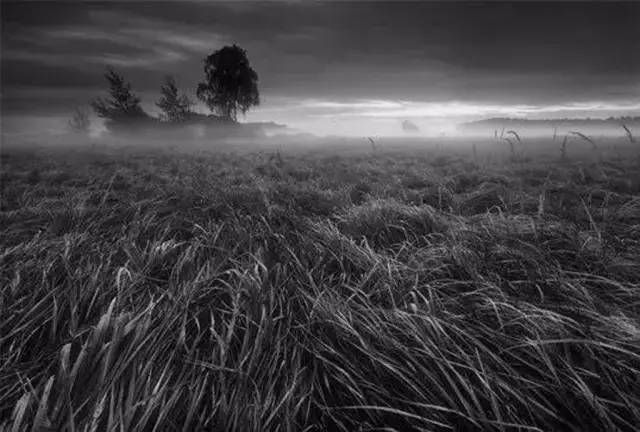 简约寂静的黑白海景——摄影师Yury Bird