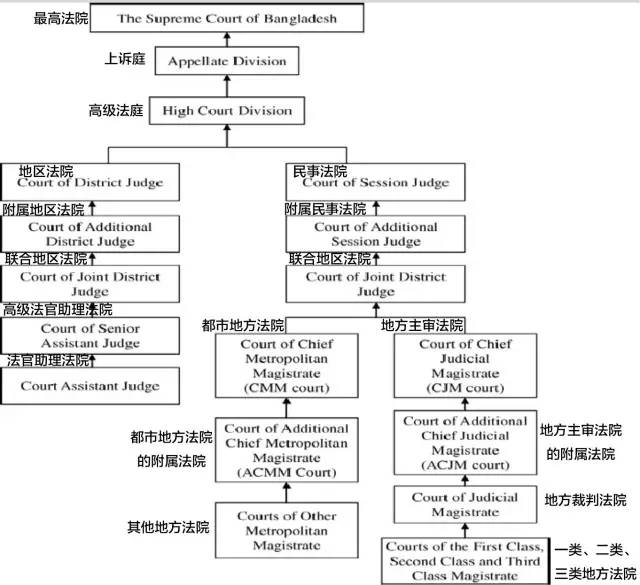 美国法院系统图解英文图片