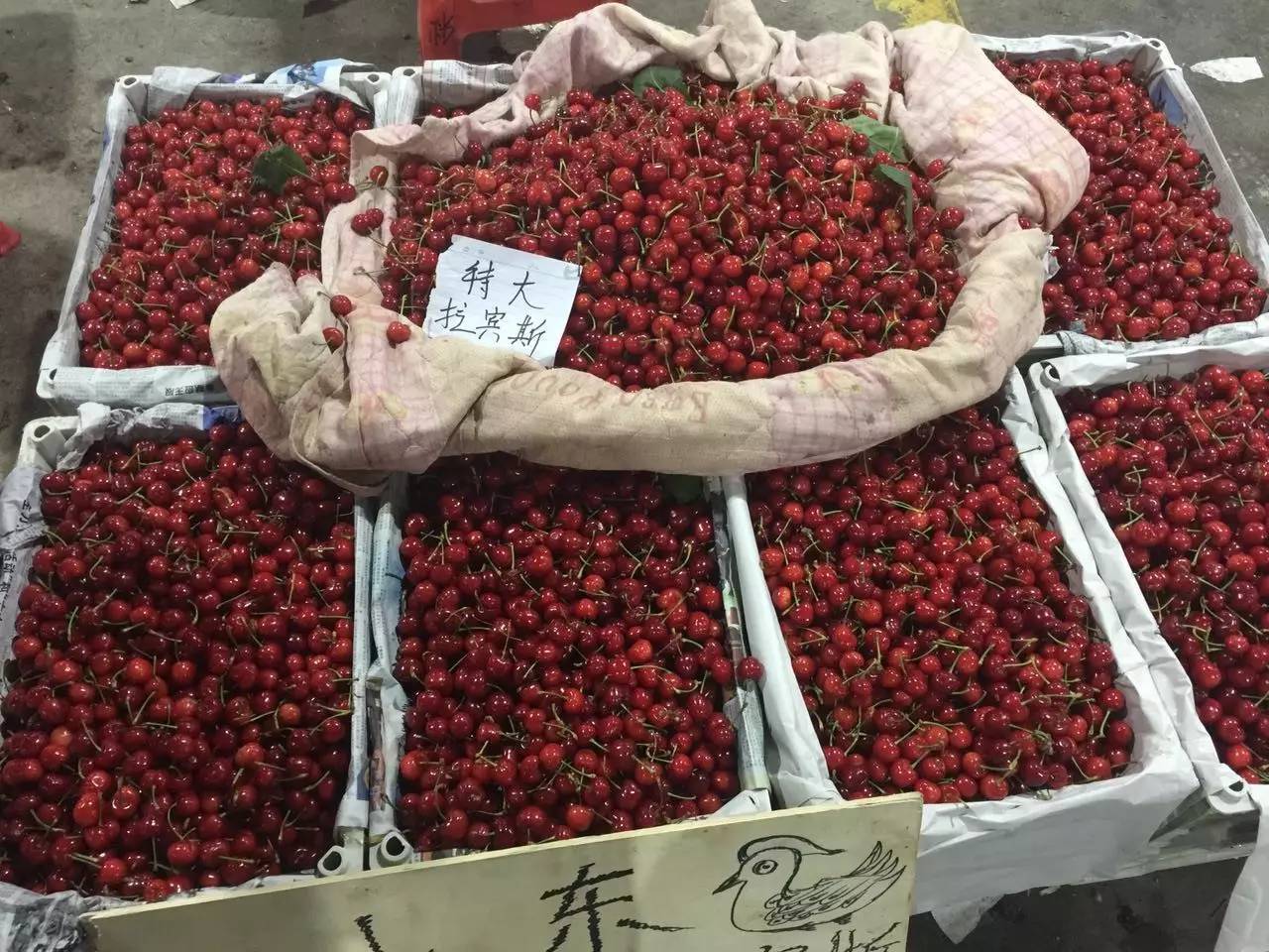 探城│沈阳八家子实拍东北最大的果品批发市场