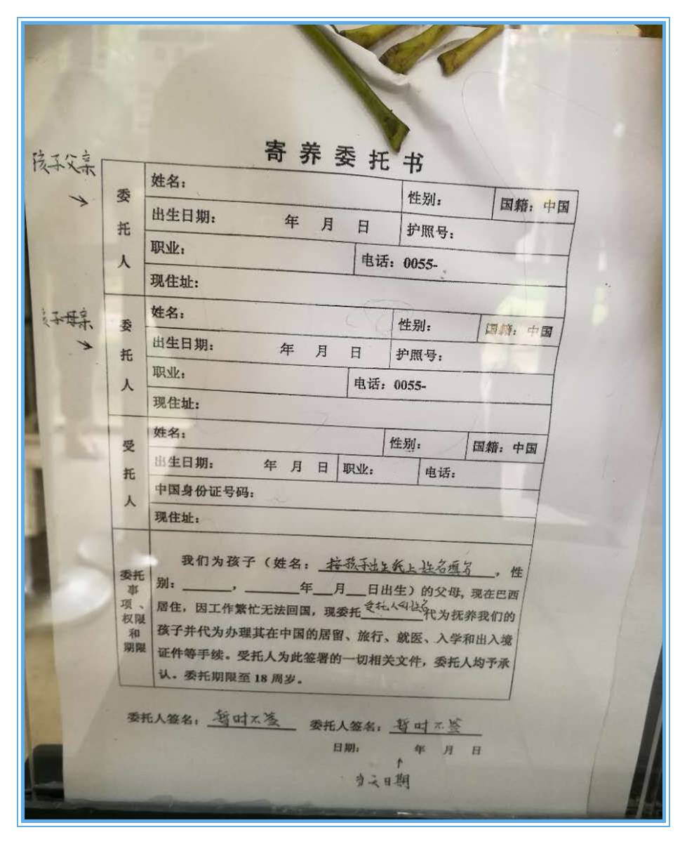 以上寄养委托书可以跟签证同一时间进行办理,最后根据领事馆提供的