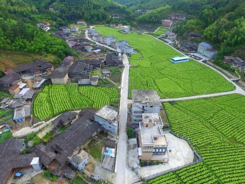 初识尤溪县革命老区竹峰村