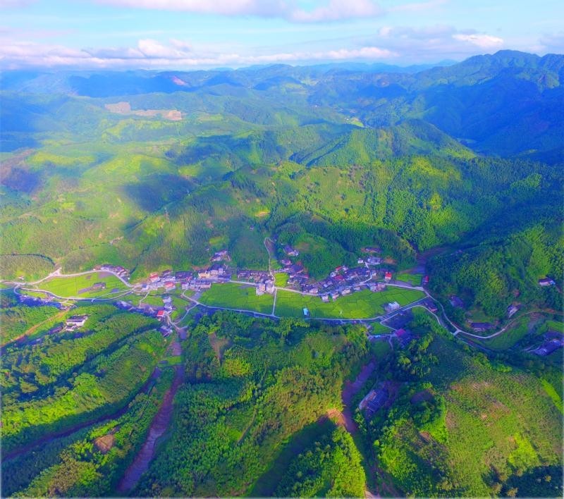 竹峰村,离县城61公里,属于尤溪县中仙乡管辖范围,因境内竹林覆盖率广