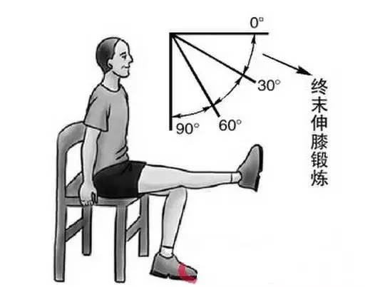 膝关节屈曲60度图解图片