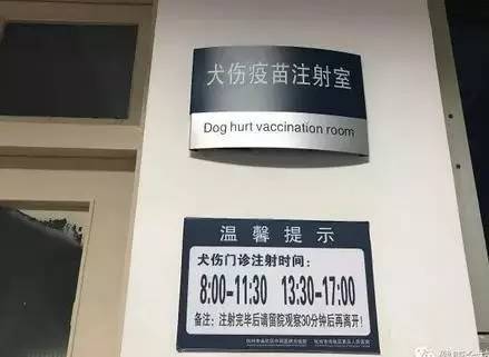 浦东犬伤门诊图片