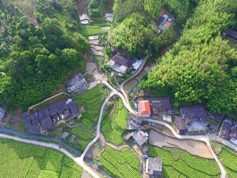 初识尤溪县革命老区竹峰村