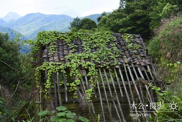 探访 横峰一户人的小山村,风景竟这么美