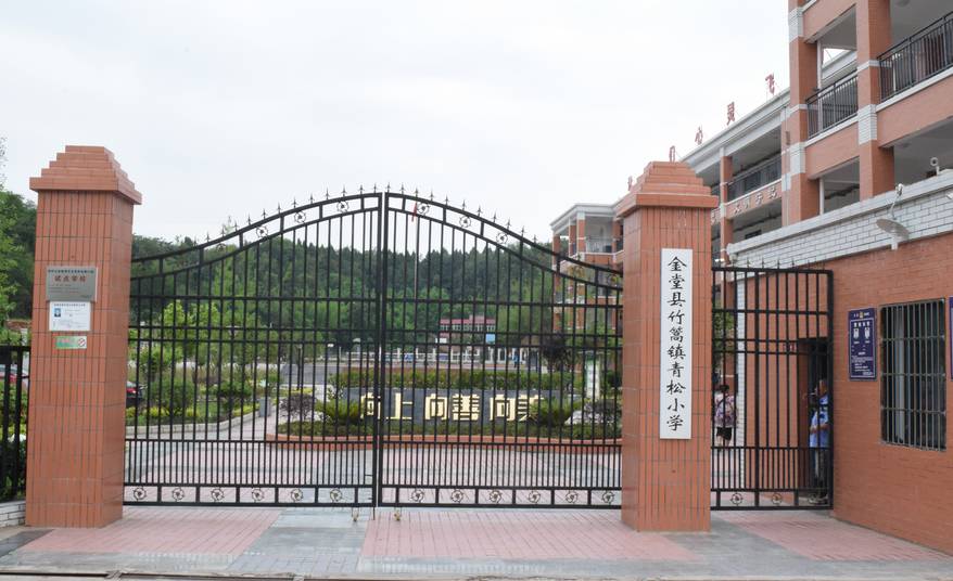 金堂县竹篙镇小学图片