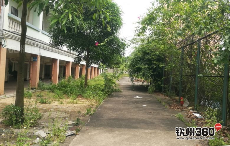 钦州学院旧校区图片