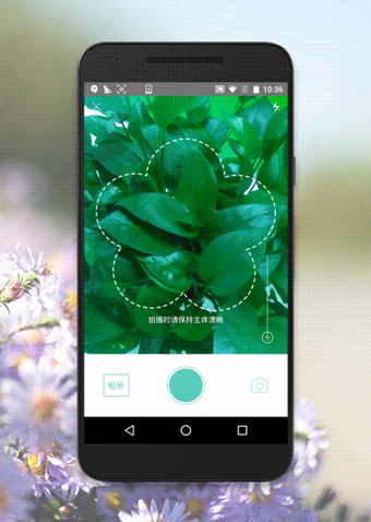 植物拍照识别 手机图片