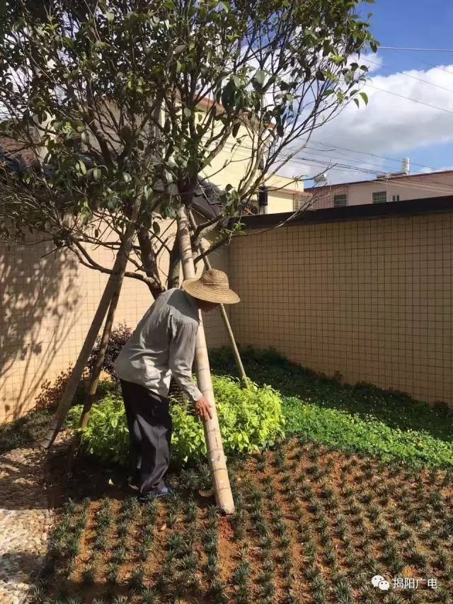 副市长吴毅青在会上强调:台风苗柏可能是今年入汛以来严重影响我市