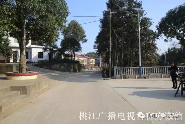 走進馬跡塘鎮三里村,一條條街道整潔平坦,一排排觀賞樹郁郁青青,一座