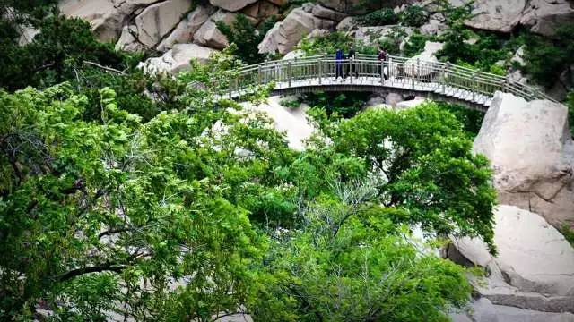 十里花海賞嶗山攝影大賽 | 快來把你的二龍山門票帶回家!