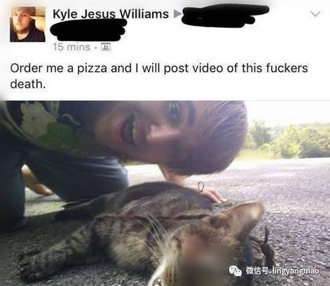 慎点美国18岁少年残忍虐猫致死拍照炫耀恶行令人发指