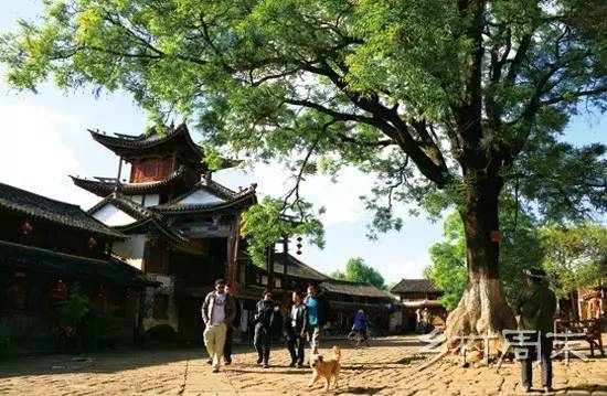 大理沙溪古鎮是離西藏鹽井鄉最近的茶馬古道集市.