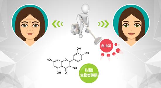 认识柑橘生物类黄酮及其作用