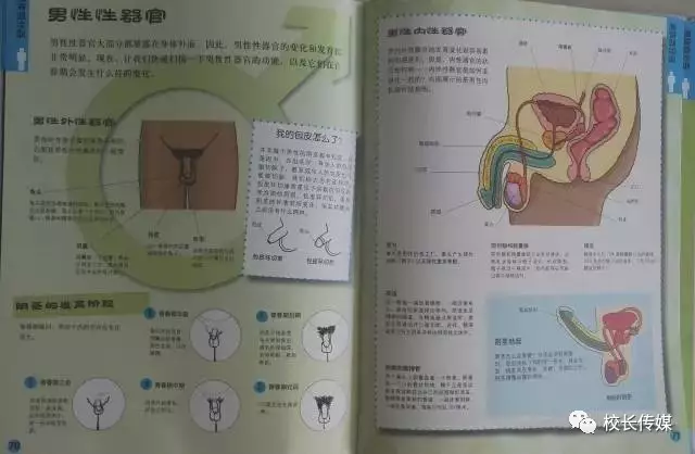 男生发育青春期隐私图片