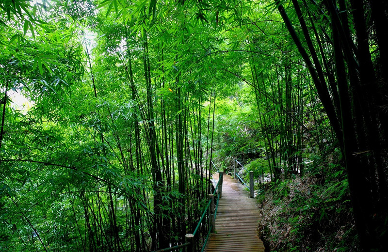 杭州千岛湖森林氧吧3日度假游无锡被誉为太湖明珠,交通便捷,是一个