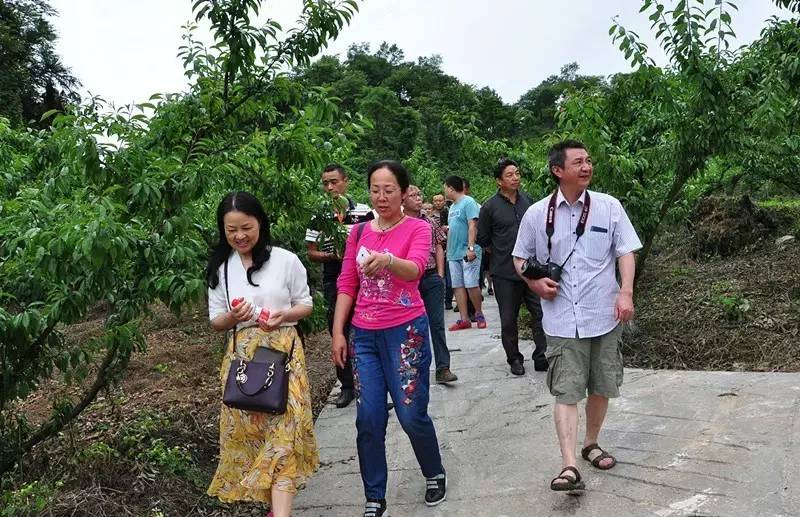 古蔺脆红李咋个种才好吃,省上专家这么说