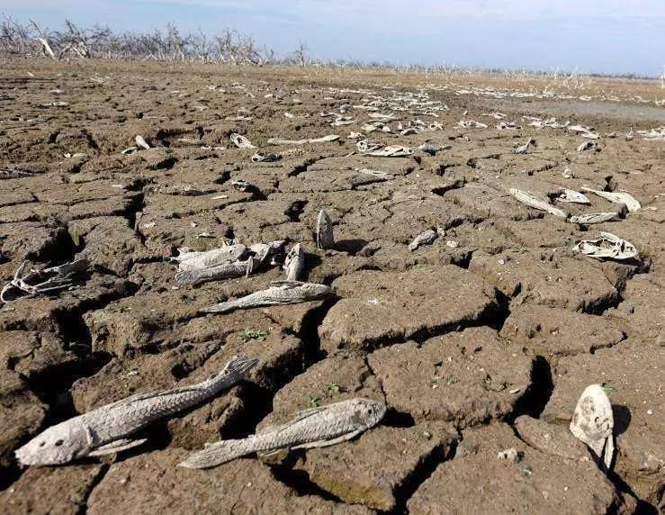 世界防治荒漠化和干旱日:干旱比我们想象的还要可怕