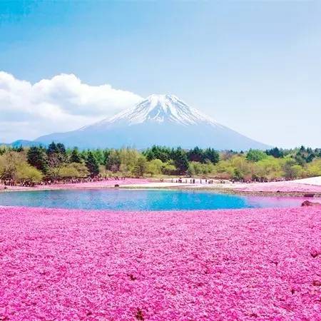 日本头像风景图片