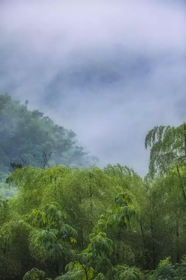 浙江安吉的这间山中仙居,一时云烟一时晴,让有20万粉丝的美女摄影师也