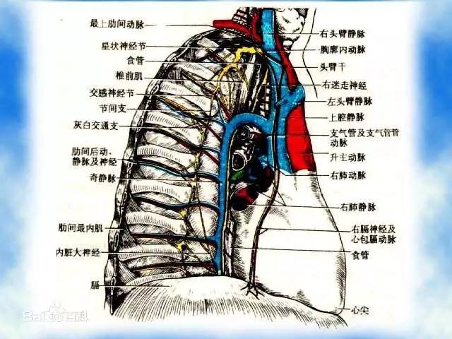 我们随即组建了由静脉治疗专科护士,临床专科医生和放射科医生组成的