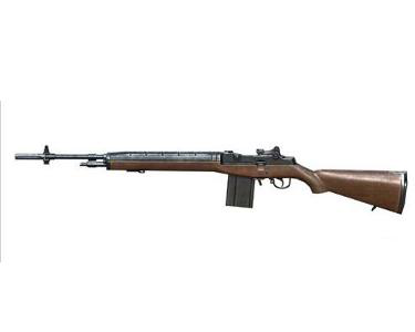 m14ebr步枪真实图片图片