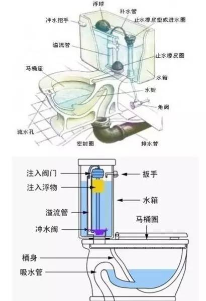 漩涡式虹吸马桶结构图图片