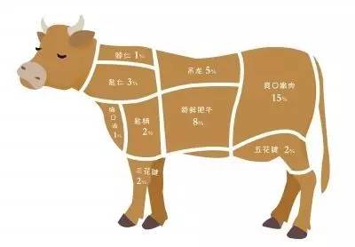 牛解剖图 全身内脏图片