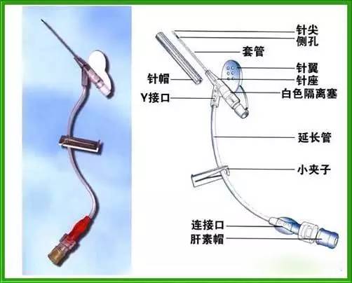 留置针各部位名称图片图片