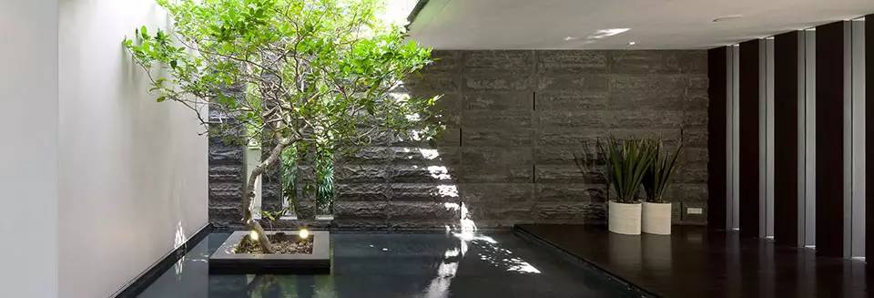 钢筋混凝土里长出来的绿——天井植物景观设计