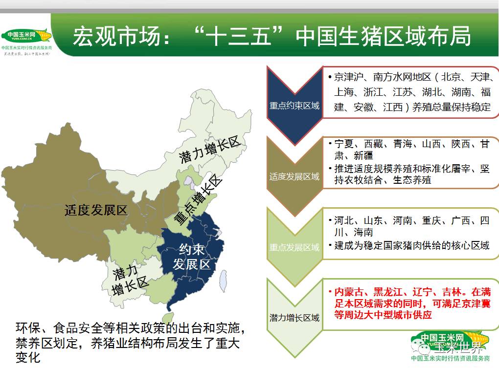 2017国内玉米市场行情研讨会——《中国饲料养殖业发展现状及展望》