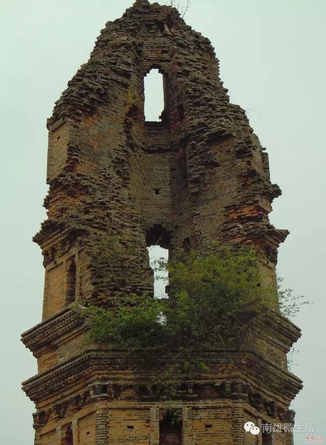 黄 坑 溪 塘 古 村 落溪塘村,又称莲溪村,现有200余户,1400多人,村内