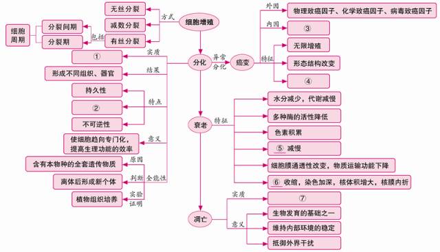 思維導圖丨巧用網絡圖構建高中生物知識結構必修1必修2