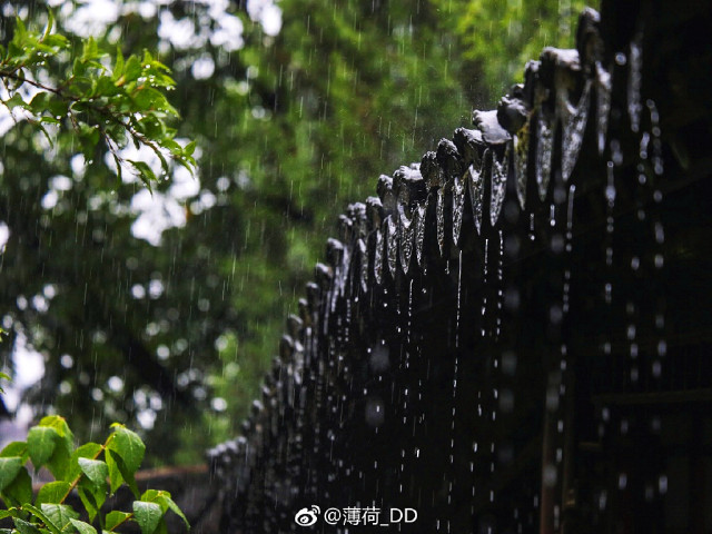 下雨天南京最适合去的8个地方每个都可以呆上一天