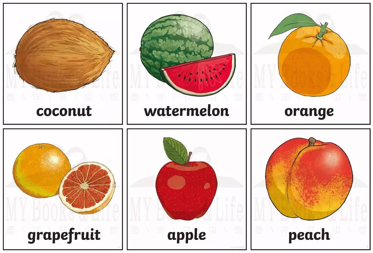 水果的英文(水果字母26个水果)