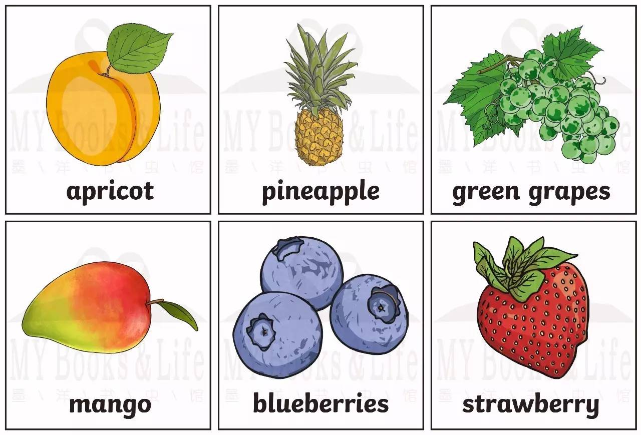 西红柿的英语单词图片