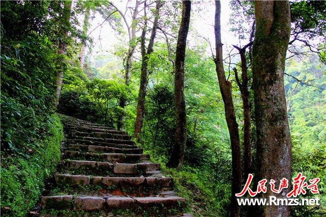 貴州黎平南泉山上的夏日清涼