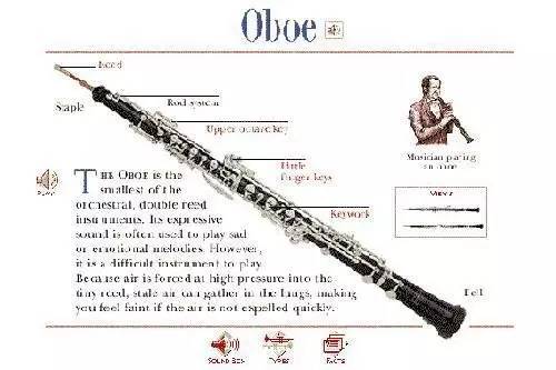双簧管是木管乐中最难演奏的乐器