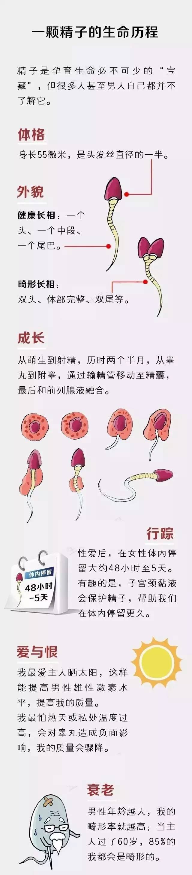 男人检查精子过程图图片