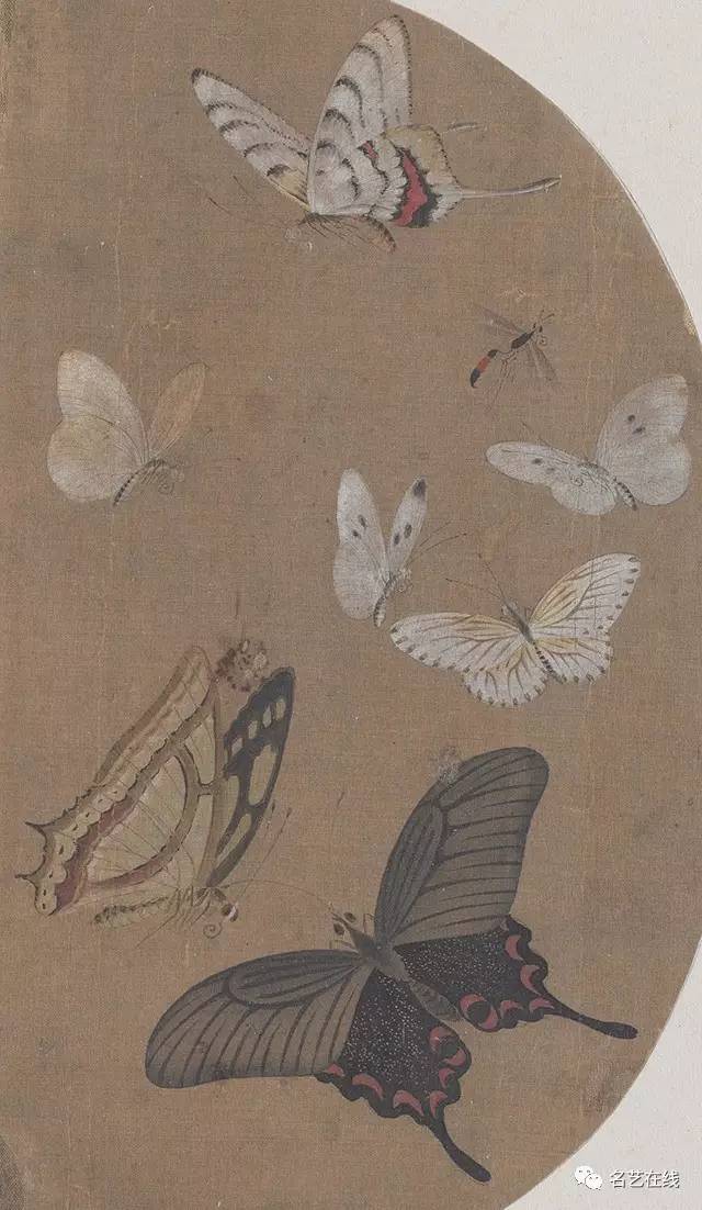 古代画家高清下的蝴蝶,生机灵动,翩翩起舞