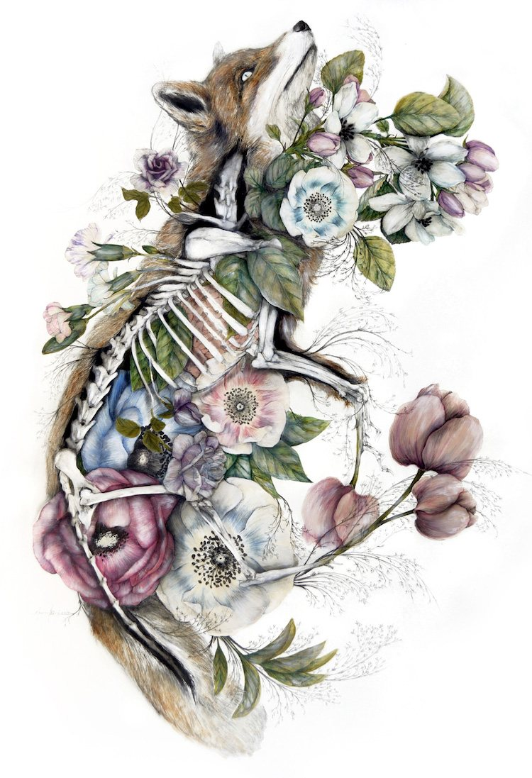 当动物解剖图与花卉图案结合时创作出精美的艺术画
