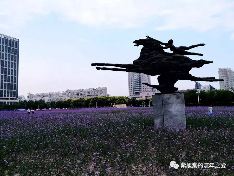 【流年之愛20170626】三時三餐,拯救無趣日常