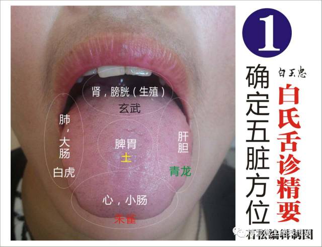 中医辨别舌苔图片图片