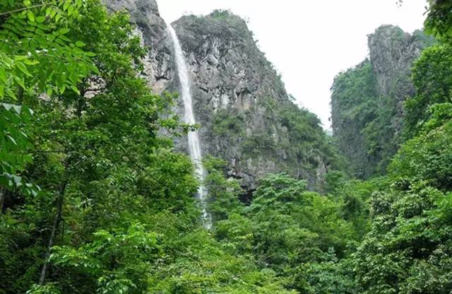 夏龙游横山荷花秋全城的桂花冬鹿鸣公园梅花如果衢州是一本书它包罗了