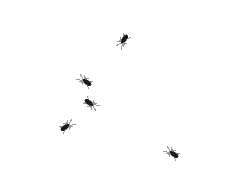 微信上蟑螂爬动态图图片
