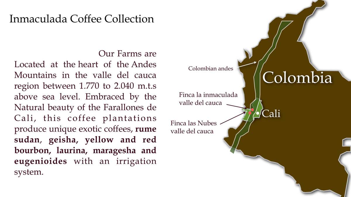 本次品鉴会的咖啡主要来自哥伦比亚中南部三个产区,从