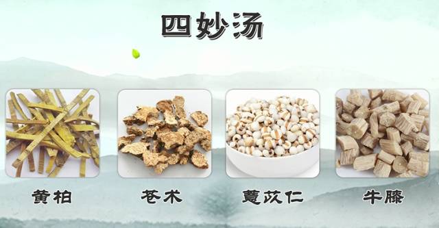 功效黄柏:清热燥湿苍术:燥湿健脾薏苡仁:祛湿热,利湿消肿牛膝:强筋