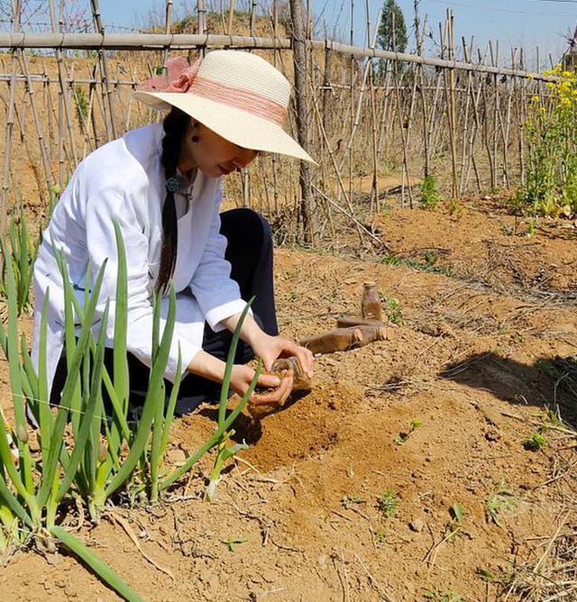 80后美女刘娟新书麦田签售,因为热爱土地